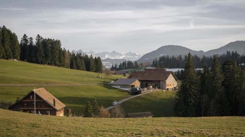 Summer in a Ski Resort: The Best Family Base in July