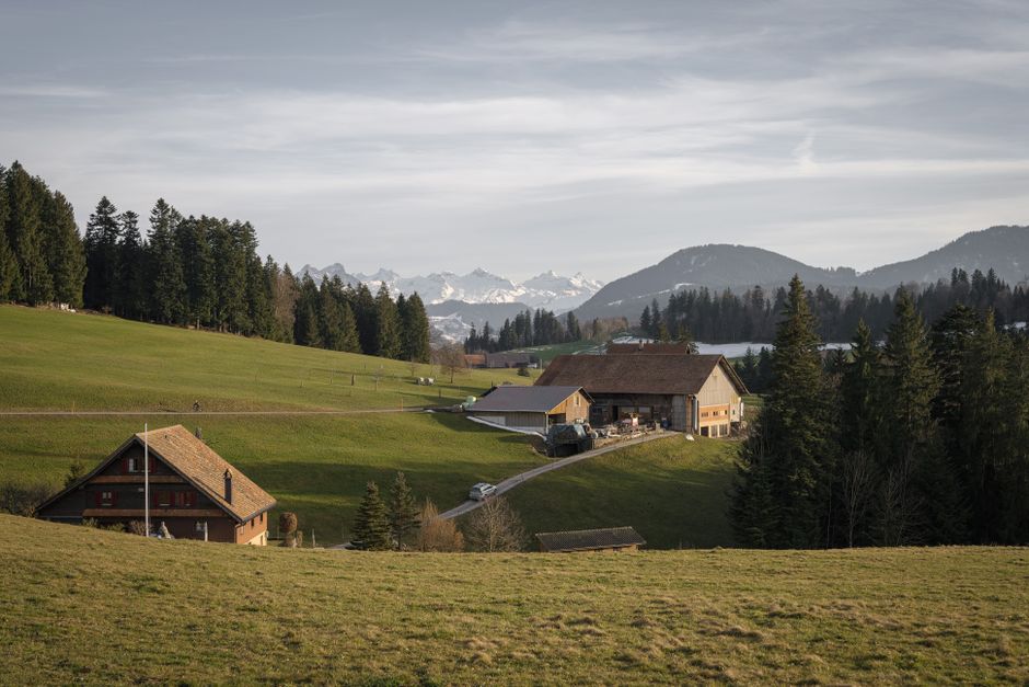 Summer in a Ski Resort: The Best Family Base in July