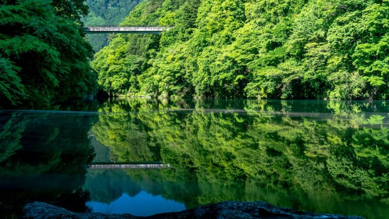 12 Best Places to Visit in Hyderabad at Night 2024: A Comprehensive Guide