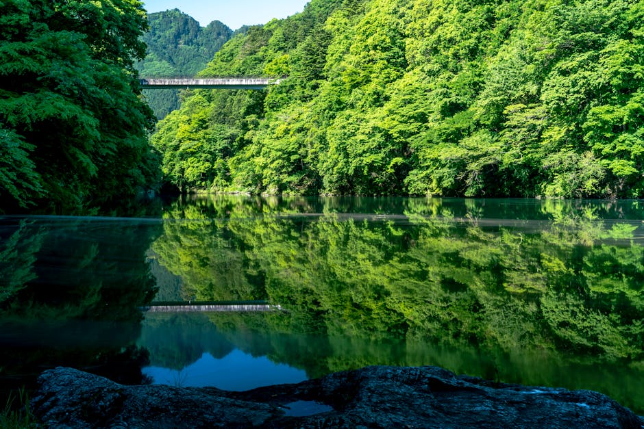 12 Best Places to Visit in Hyderabad at Night 2024: A Comprehensive Guide