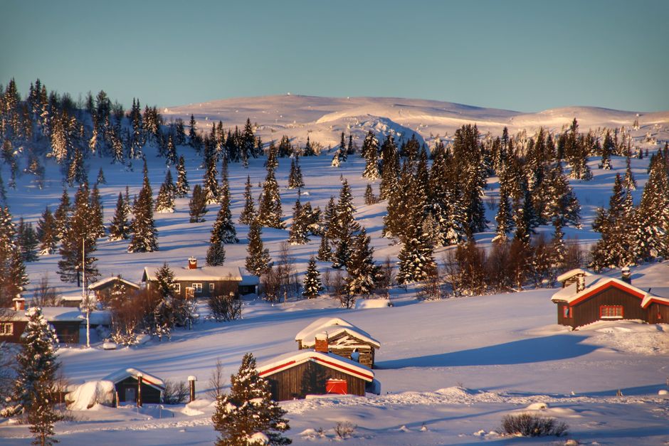 Charming rural village scene with snow-covered cabins surrounded by pine trees and mountains.