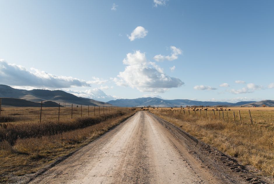 A picturesque dirt road stretches through Montana's vast countryside with mountains in the background.