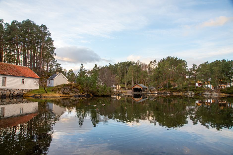 Scenic view of Ålesund's serene waterfront with charming houses and lush pine trees reflecting in calm waters.