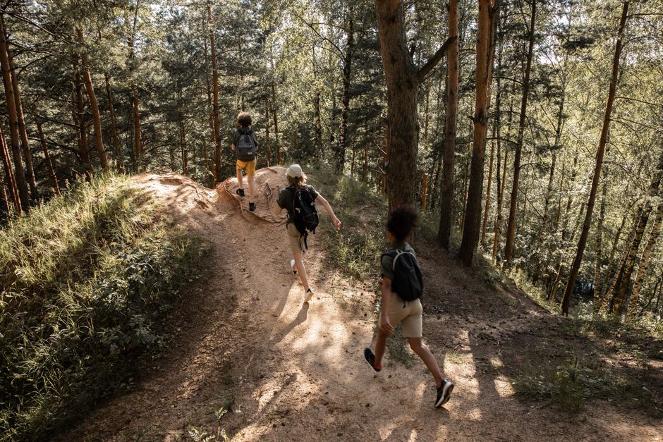 Group of teenagers hiking through a sunlit forest, enjoying a summer adventure.