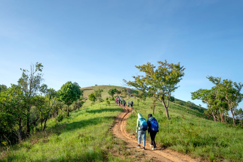 Back view of unrecognizable hikers in outerwear and backpacks walking on narrow path on grassy hill during trip on sunny day