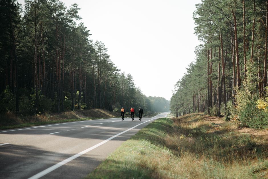 Three cyclists riding along a tree-lined road
